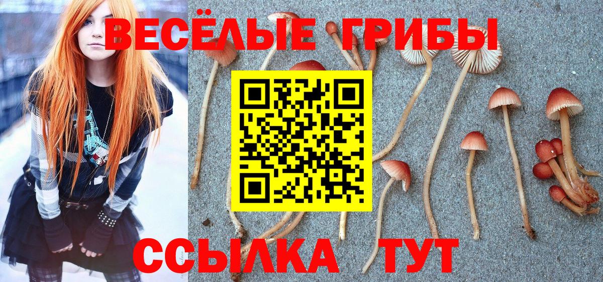 Галлюциногенные грибы Magic Shrooms  Галлюциногенные грибы Cubensis  Вход с VPN  Владимир 